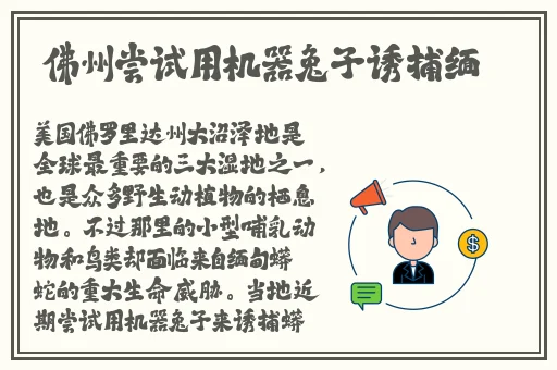 国产精品久久久久精品辽义